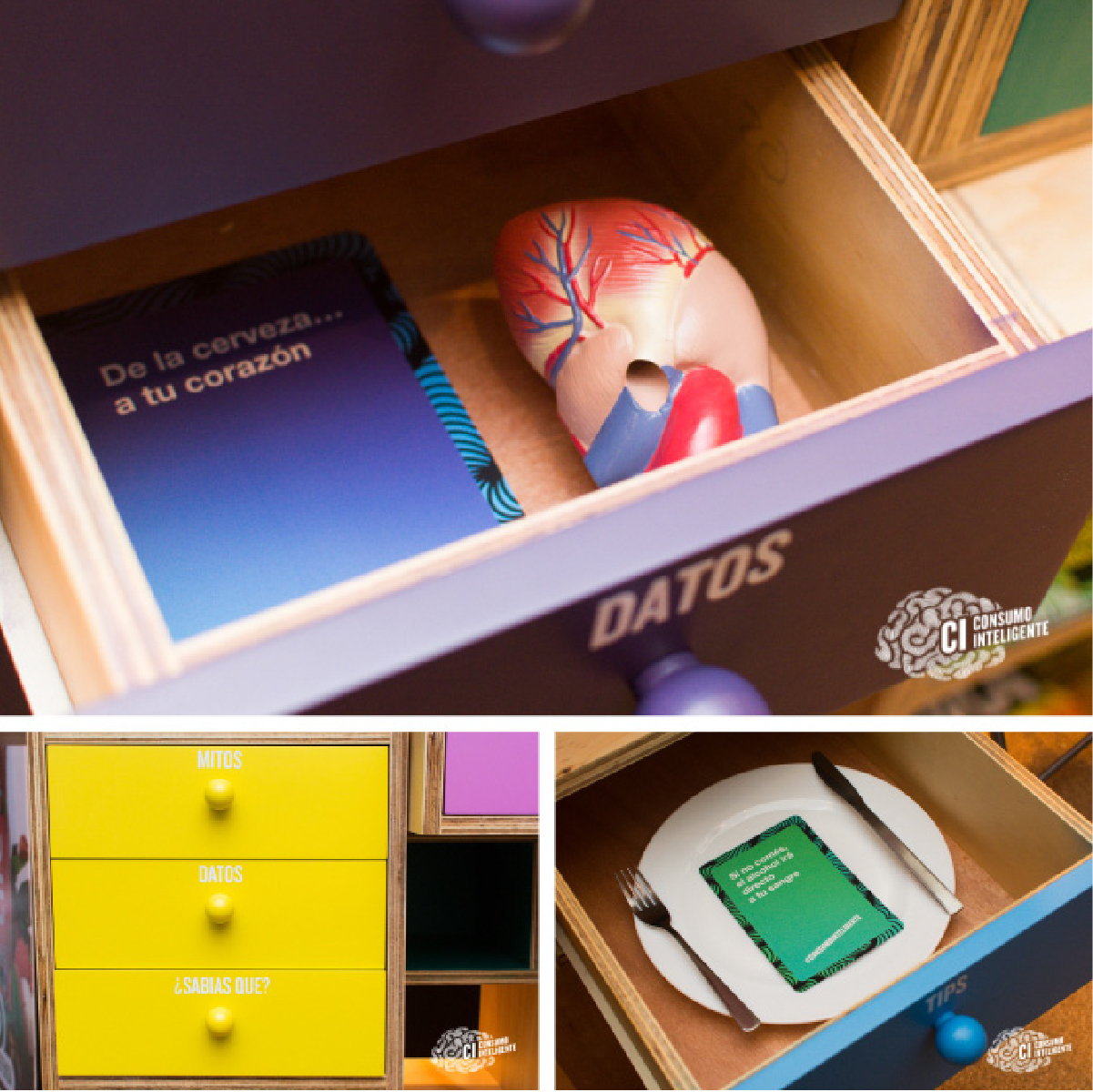 florida bebidas brain drawers