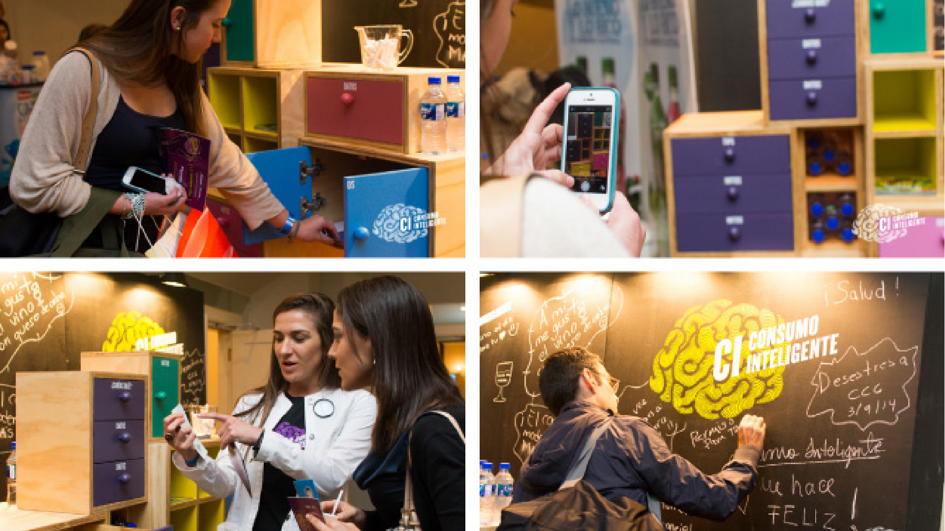 florida bebidas brain drawers