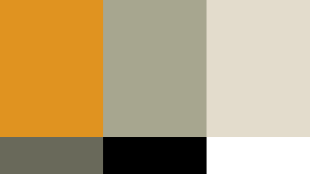 solaris reserva conchal