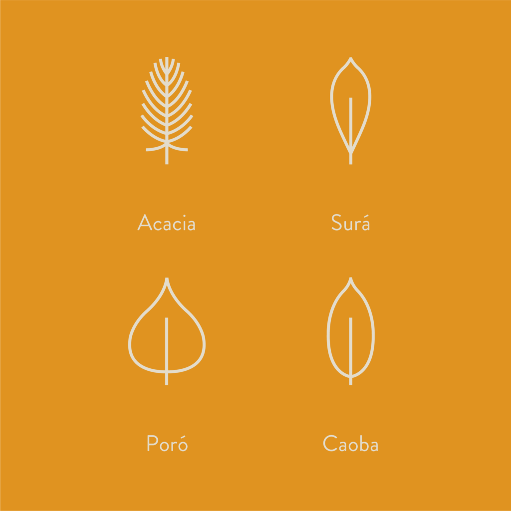 solaris reserva conchal