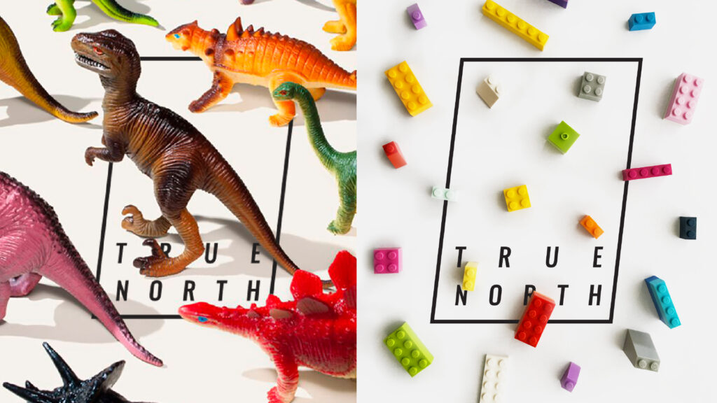 true north school visual dna