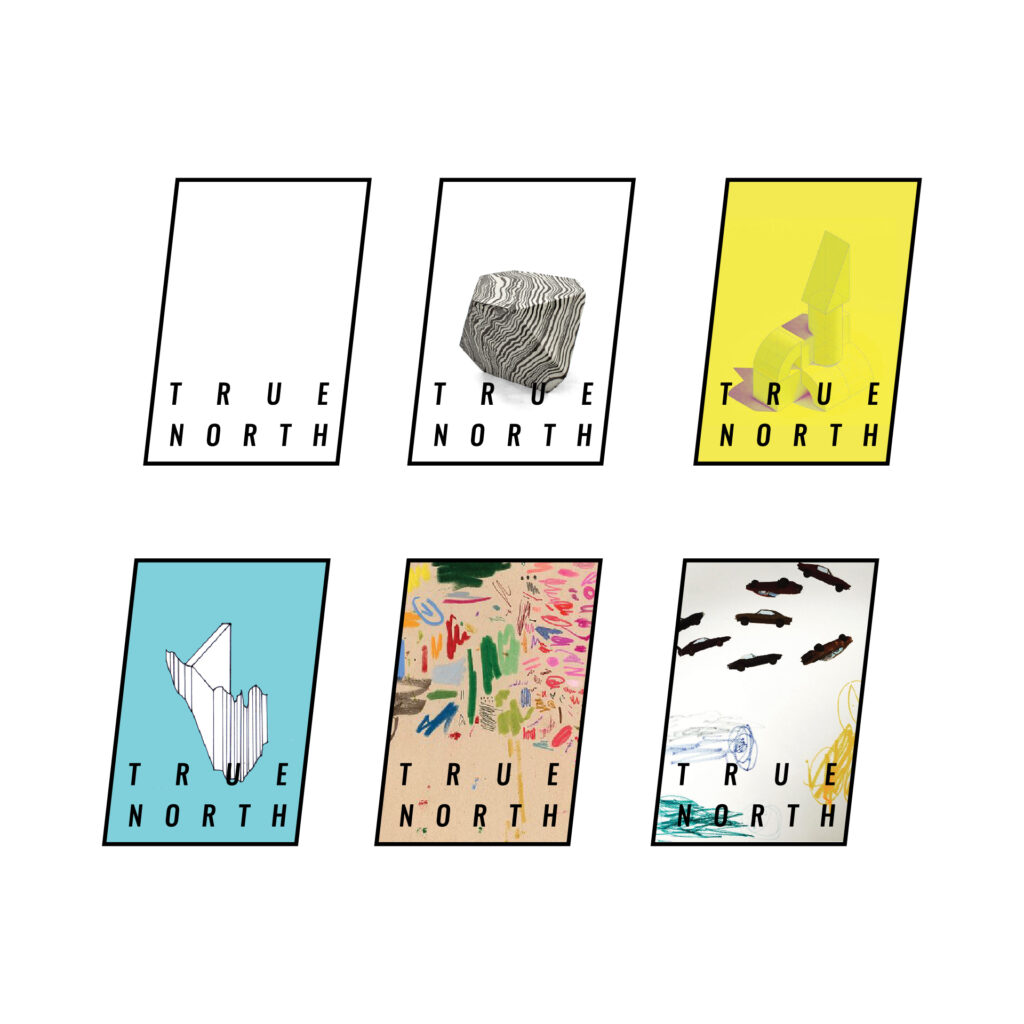 true north school visual dna